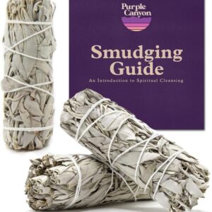 Purple Canyon Smudge Kit (Beginner's Gift Set)
